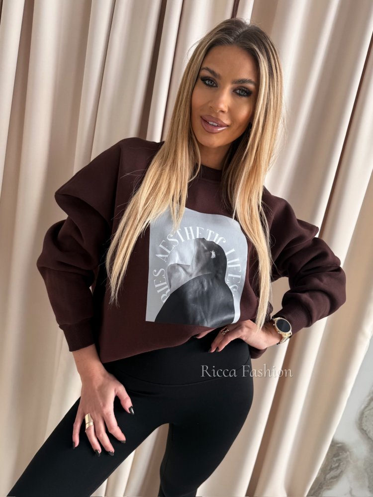 Bluza dresowa AESTHETIC,...